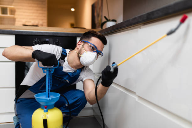 Best Termite Control Services  in Beaver Dam, WI