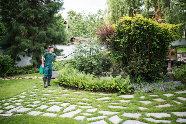 Best Cockroach Control Services  in Beaver Dam, WI