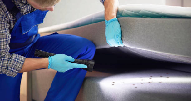 Best Flea Control Services  in Beaver Dam, WI