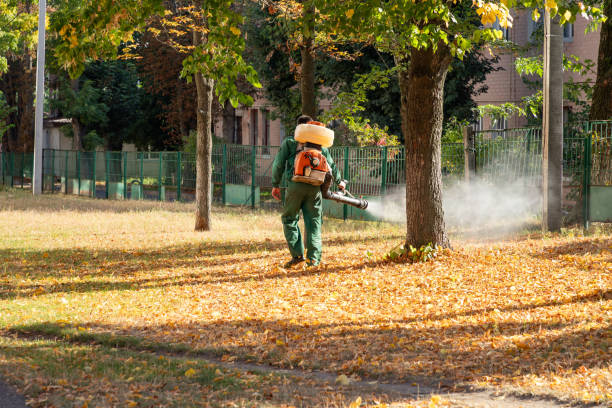 Best Pest Removal Services  in Beaver Dam, WI