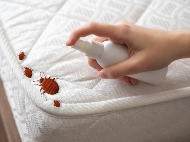 Best Affordable Pest Control Services  in Beaver Dam, WI